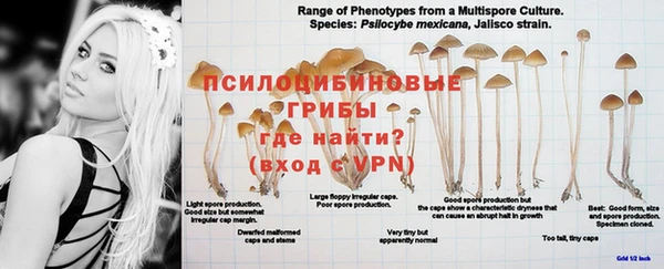 MDMA Premium VHQ Белоозёрский