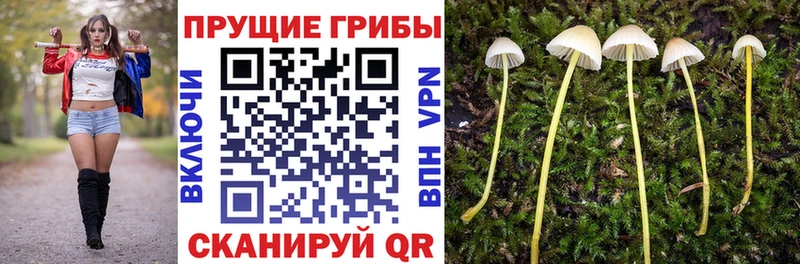 Псилоцибиновые грибы GOLDEN TEACHER  Ясногорск 